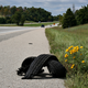 Illustration for article titled Tires: 300 level course